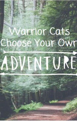 Warrior Cats Choose Your Own Adventure