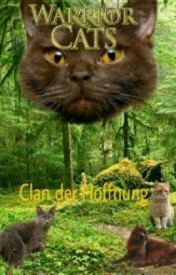 Warrior Cats Clan der Hoffnung