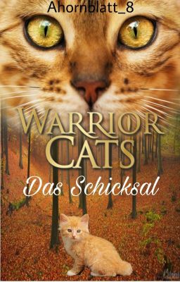 Warrior Cats ~ Das Schicksal