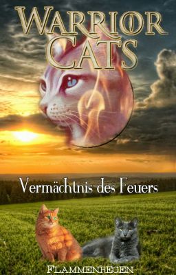 Warrior Cats - Das Vermächtnis des Feuers