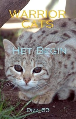 Warrior Cats: De Eerste Maanenschijn, Het Begin