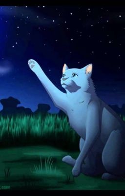 Warrior Cats de verloren nacht