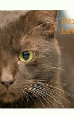 ~~Warrior Cats~~  Dennenpels' Levens