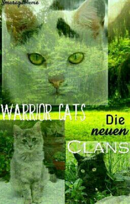 warrior cats~ die neuen Clans