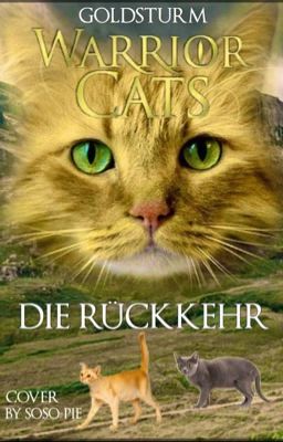 Warrior Cats Die Rückkehr