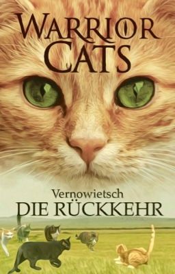 Warrior Cats - Die Rückkehr