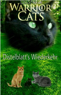 Warrior Cats Distelblatts Wiederkehr