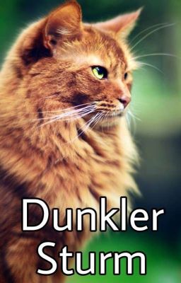 Warrior Cats - Dunkler Sturm (S1, Band 2)