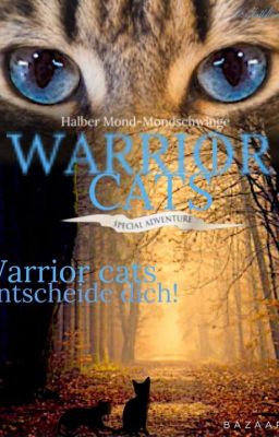 Warrior Cats Entscheide dich!