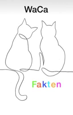 Warrior Cats Fakten-XXL