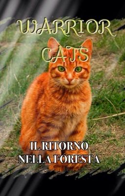 WARRIOR CATS: IL RITORNO NELLA FORESTA