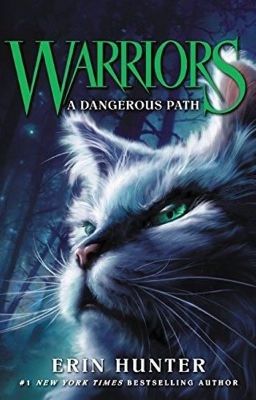 Warrior Cats - In Licht und Dunkelheit