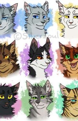 Warrior Cats in Real Life!