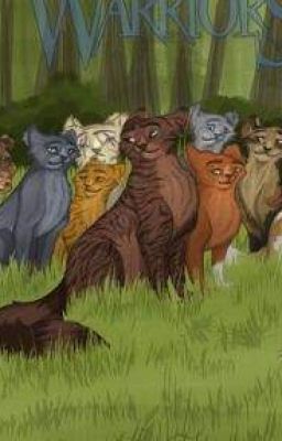 Warrior Cats - Katzen an die ich mich immer erinnern werde