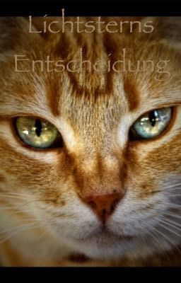 Warrior Cats Lichtsterns Entscheidung