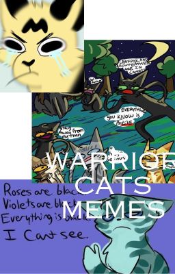 Warrior cats memes