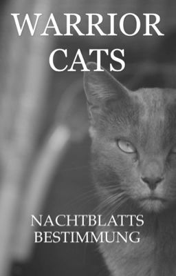 WARRIOR CATS - Nachtblatts Geheimnis