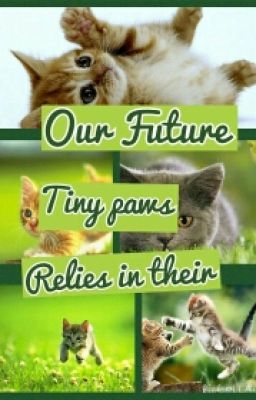 Warrior Cats Name Generator