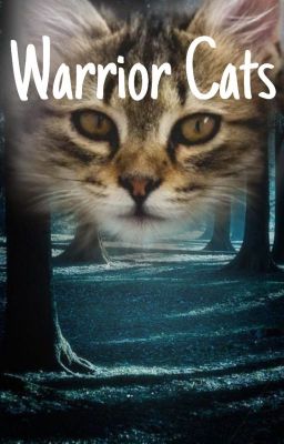 Warrior Cats namen