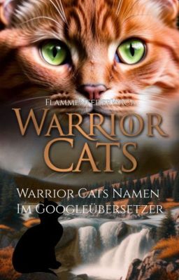 Warrior Cats Namen im Google Übersetzer