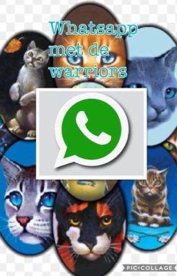 Warrior cats op whatsapp