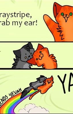 Warrior cats randomness!