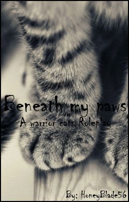 Warrior cats Roleplay ~ Beneath my paws