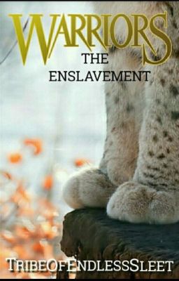 Warrior Cats Roleplay- The Enslavement 