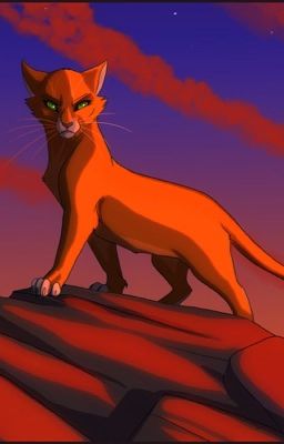 Warrior Cats RP