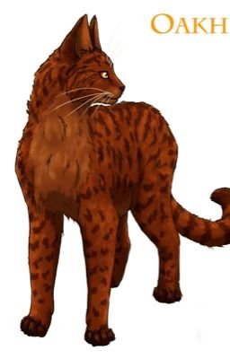 Warrior Cats RP (Closed!)