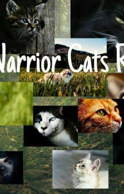 Warrior Cats RPG