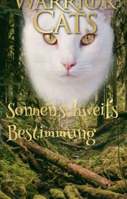 warrior cats ~ Sonnenschweifs Bestimmung 