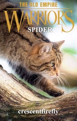 Warrior Cats: Spider