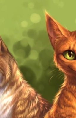 Warrior cats Talkshow