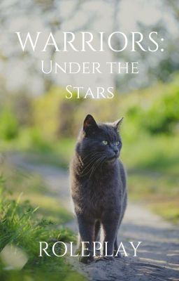 Warrior Cats: Under the Stars - RolePlay