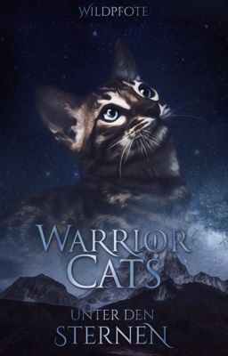 Warrior Cats | Unter den Sternen