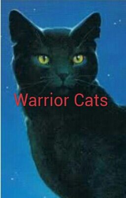 Warrior Cats~Wer bin ich~