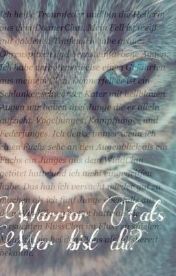 Warrior Cats   Wer bist du?