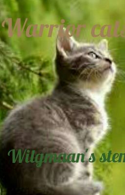 Warrior Cats wilgmaan's stem.