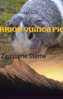 Warrior Quinea Pigs- Zerissene Sterne