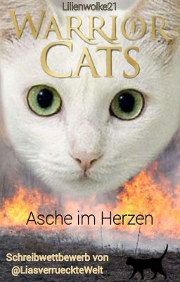 WarriorCats - Asche im Herzen - Glut