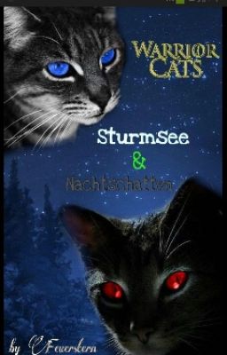 WarriorCats - Sturmsee und Nachtschatten