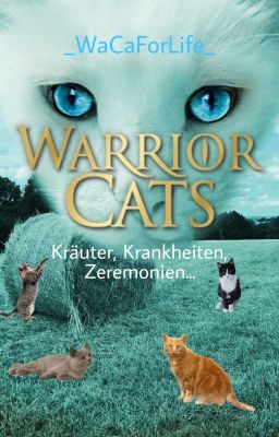 WarriorCats Wissen über Krankheiten, Zeremonien, Kräuter... || Warrior Cats WaCa