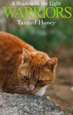 Warriors: A Shadow in the Light - Tainted Honey [Book Three]