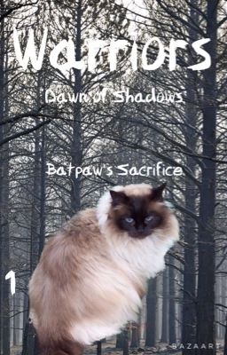 Warriors: Dawn of Shadows: #1: Batpaw's Sacrifice 