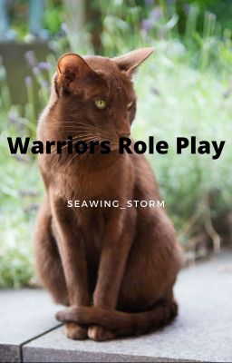 Warriors Role Play