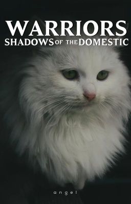 (✓) Warriors ▸ Shadows of the Domestic [1]