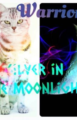 Warriors: Silver in the moonlight ~Series 1 Book 2~