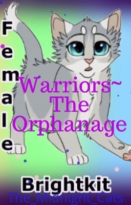 Warriors~ The Orphanage