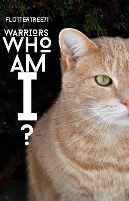 Warriors : Who am I?